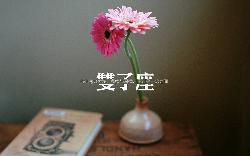 5月28日是什么星座